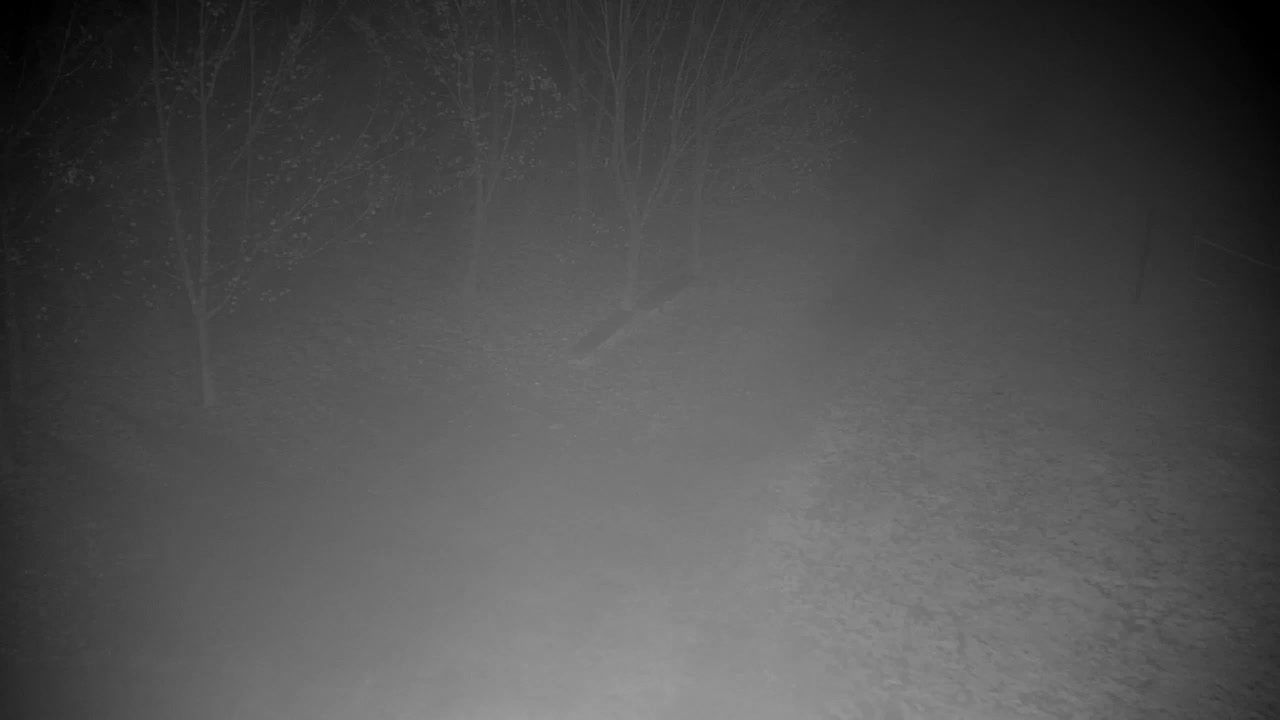 Webcam Ribnik Vrbje – Žalec