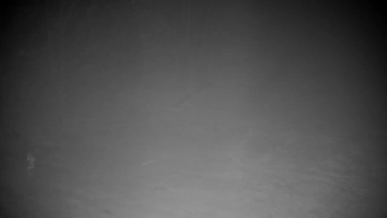 Webcam Ribnik Vrbje – Žalec