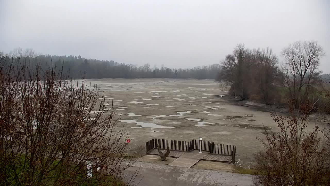 Webcam Ribnik Vrbje – Žalec
