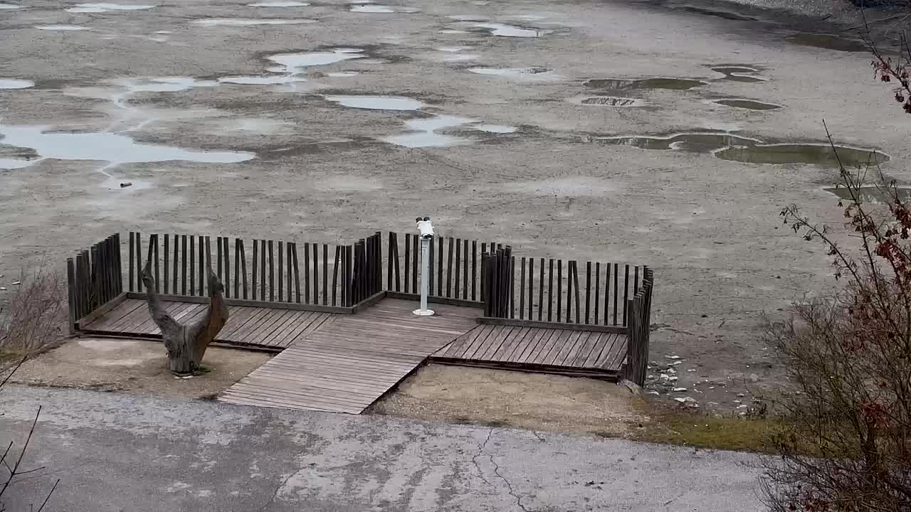 Webcam Ribnik Vrbje – Žalec