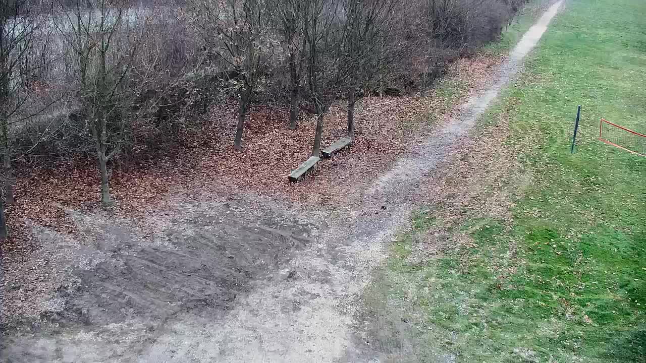 Web kamera Ribnik Vrbje – Žalec