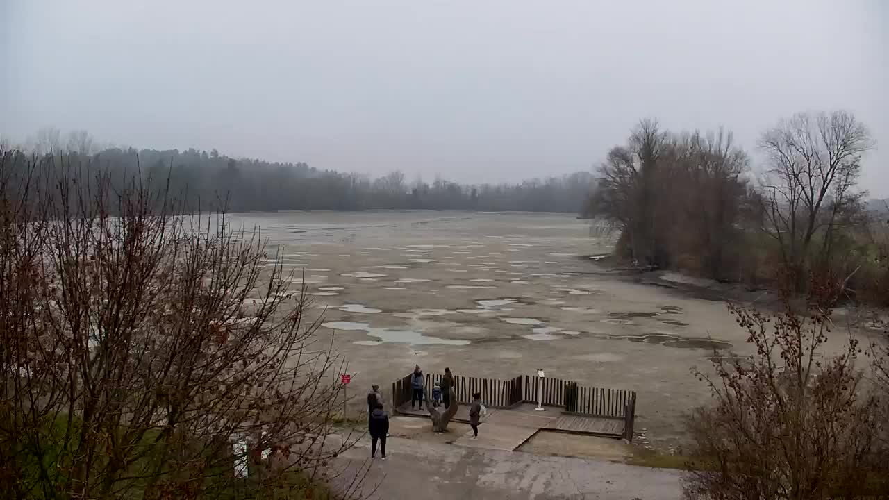 Webcam Ribnik Vrbje – Žalec