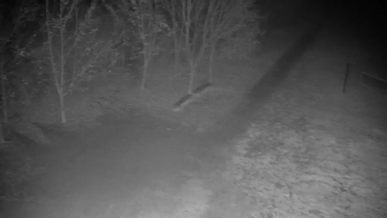 Webcam Ribnik Vrbje – Žalec