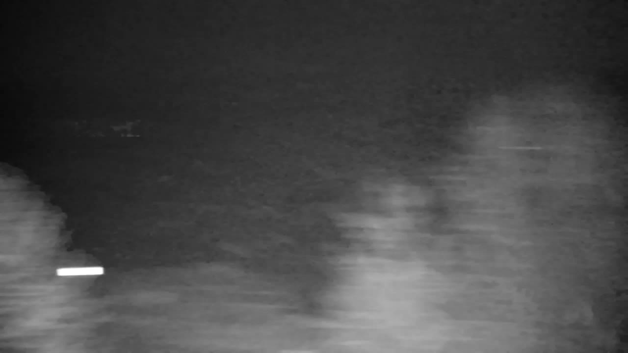 Webcam Ribnik Vrbje – Žalec