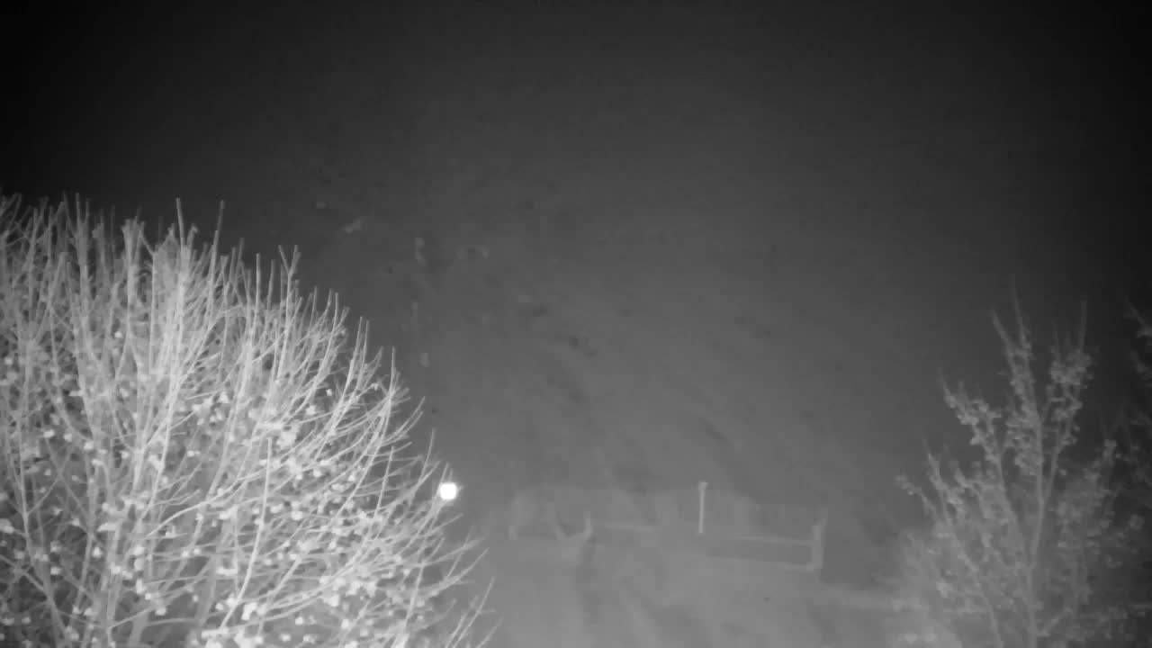 Webcam Ribnik Vrbje – Žalec