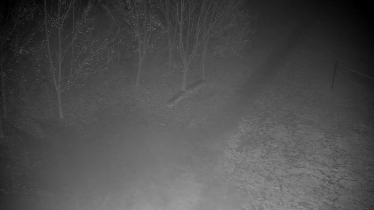 Webcam Ribnik Vrbje – Žalec