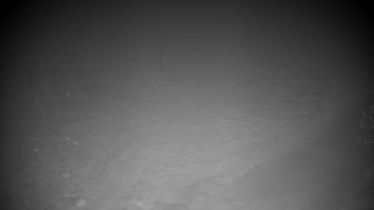 Webcam Ribnik Vrbje – Žalec