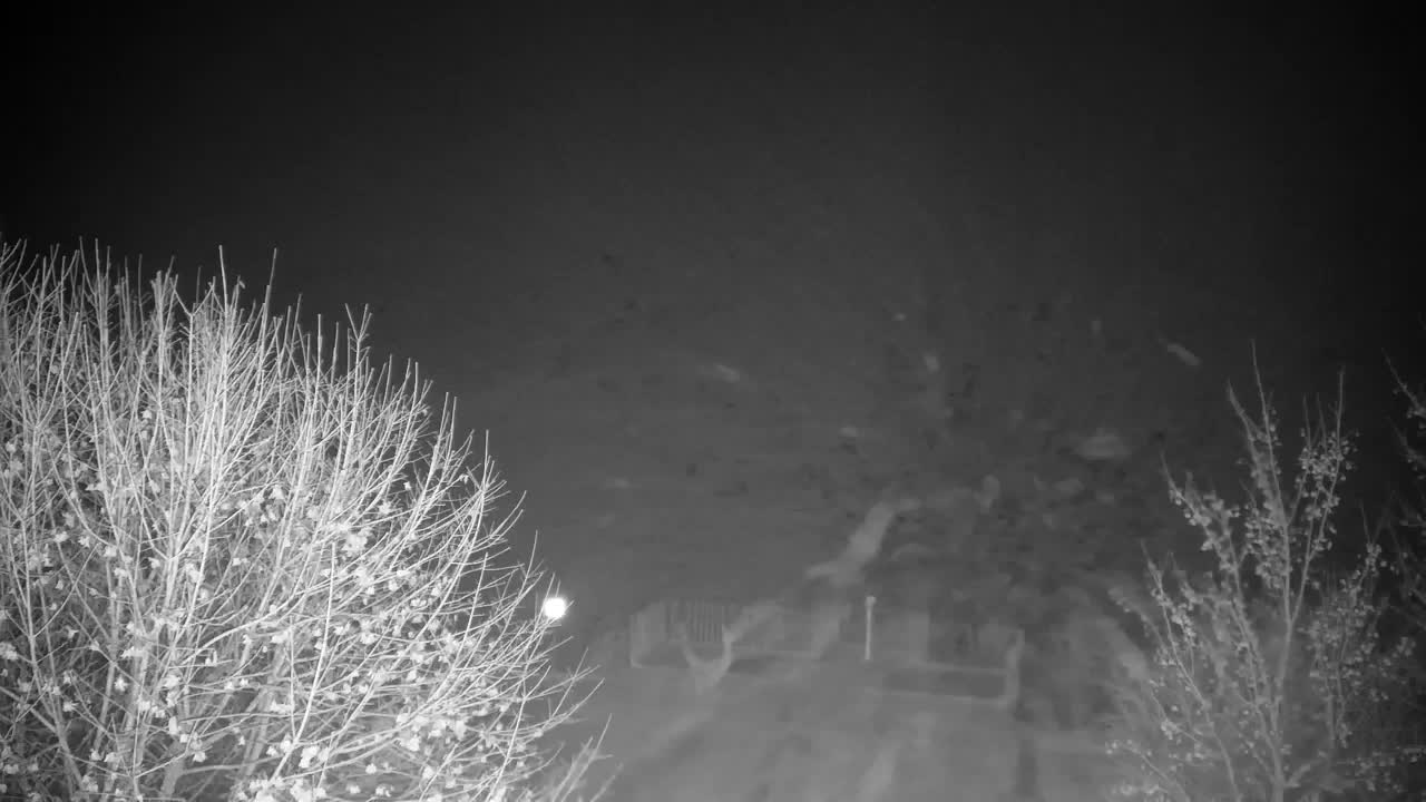 Webcam Ribnik Vrbje – Žalec