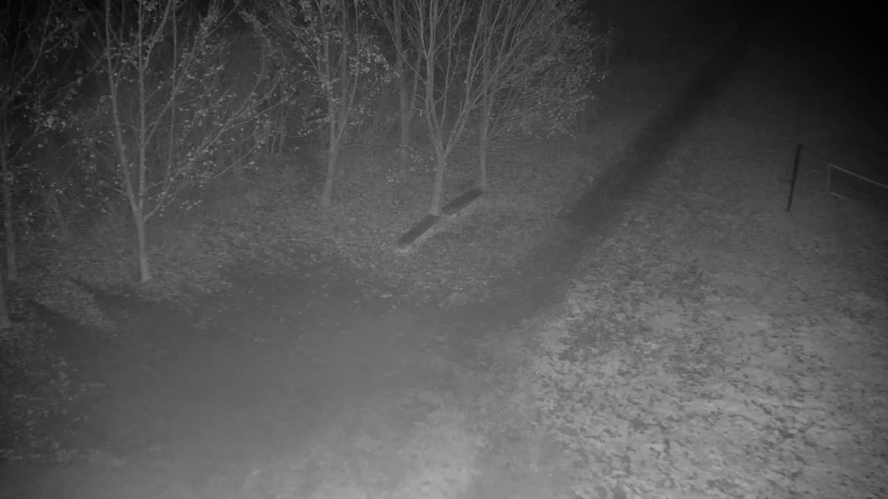 Webcam Ribnik Vrbje – Žalec