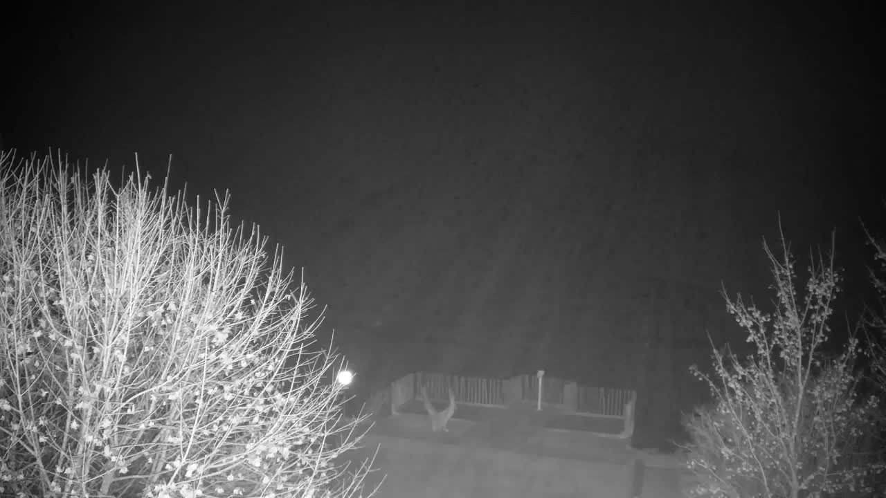 Webcam Ribnik Vrbje – Žalec