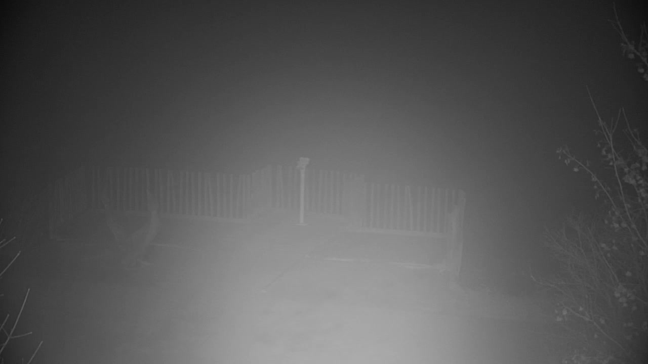 Webcam Ribnik Vrbje – Žalec