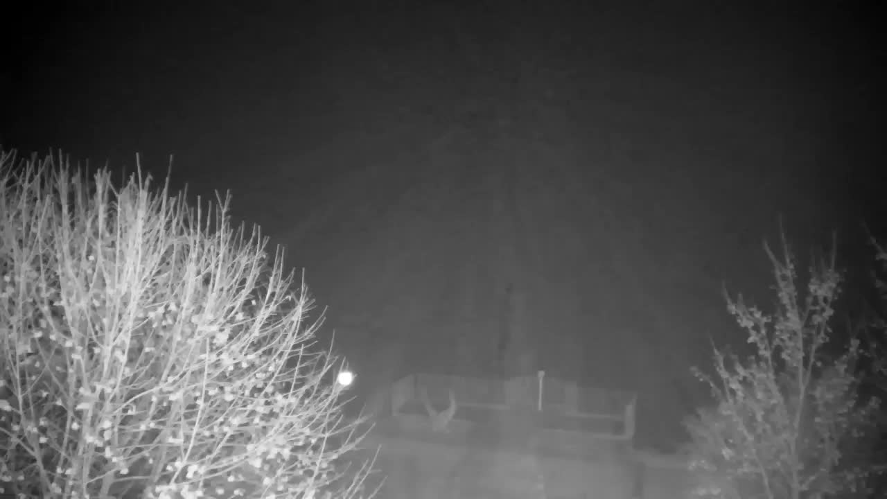 Webcam Ribnik Vrbje – Žalec