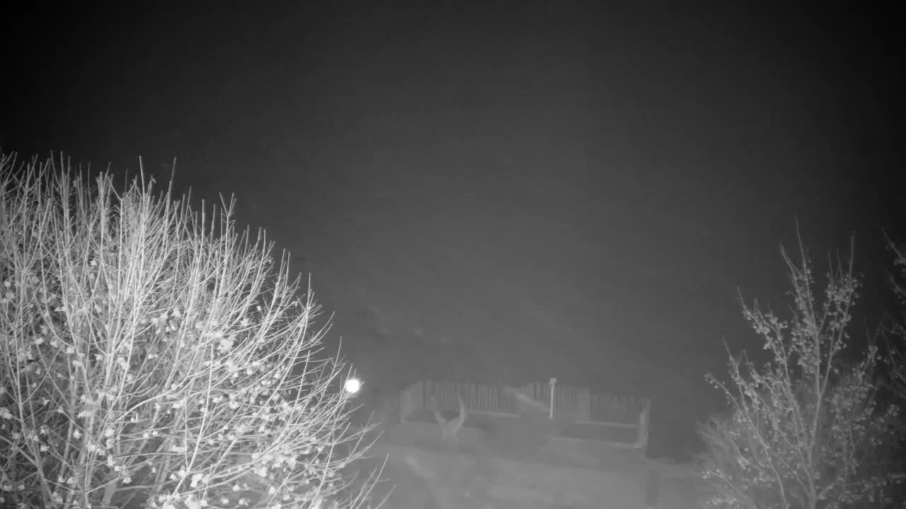 Webcam Ribnik Vrbje – Žalec