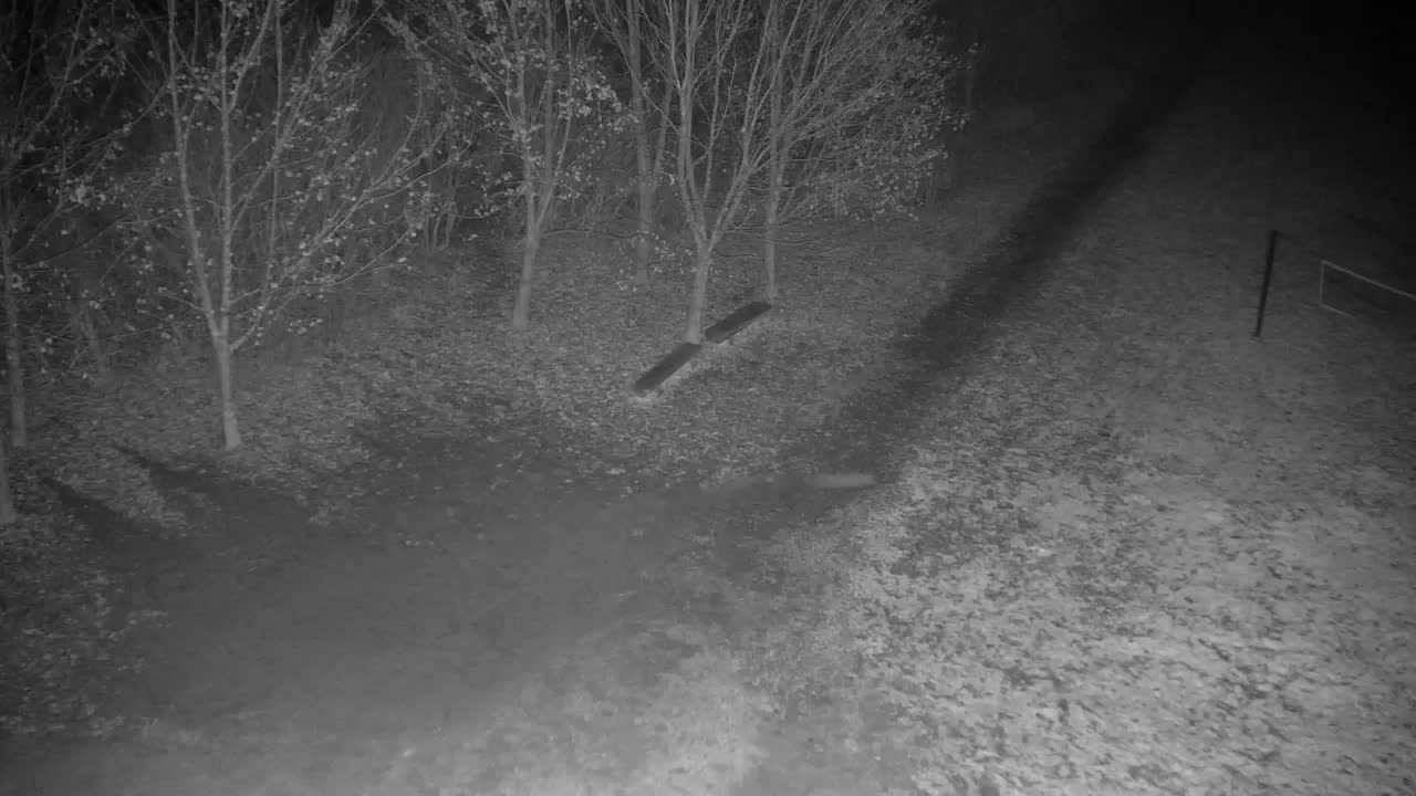 Webcam Ribnik Vrbje – Žalec