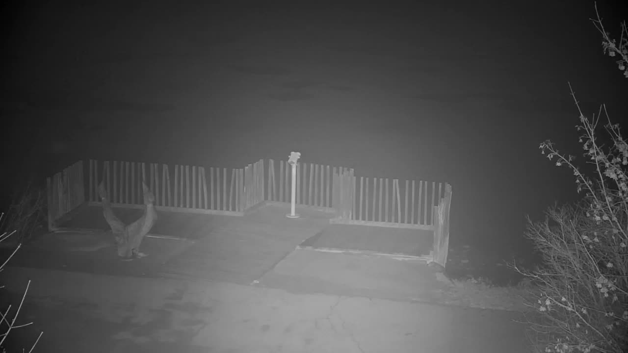 Webcam Ribnik Vrbje – Žalec