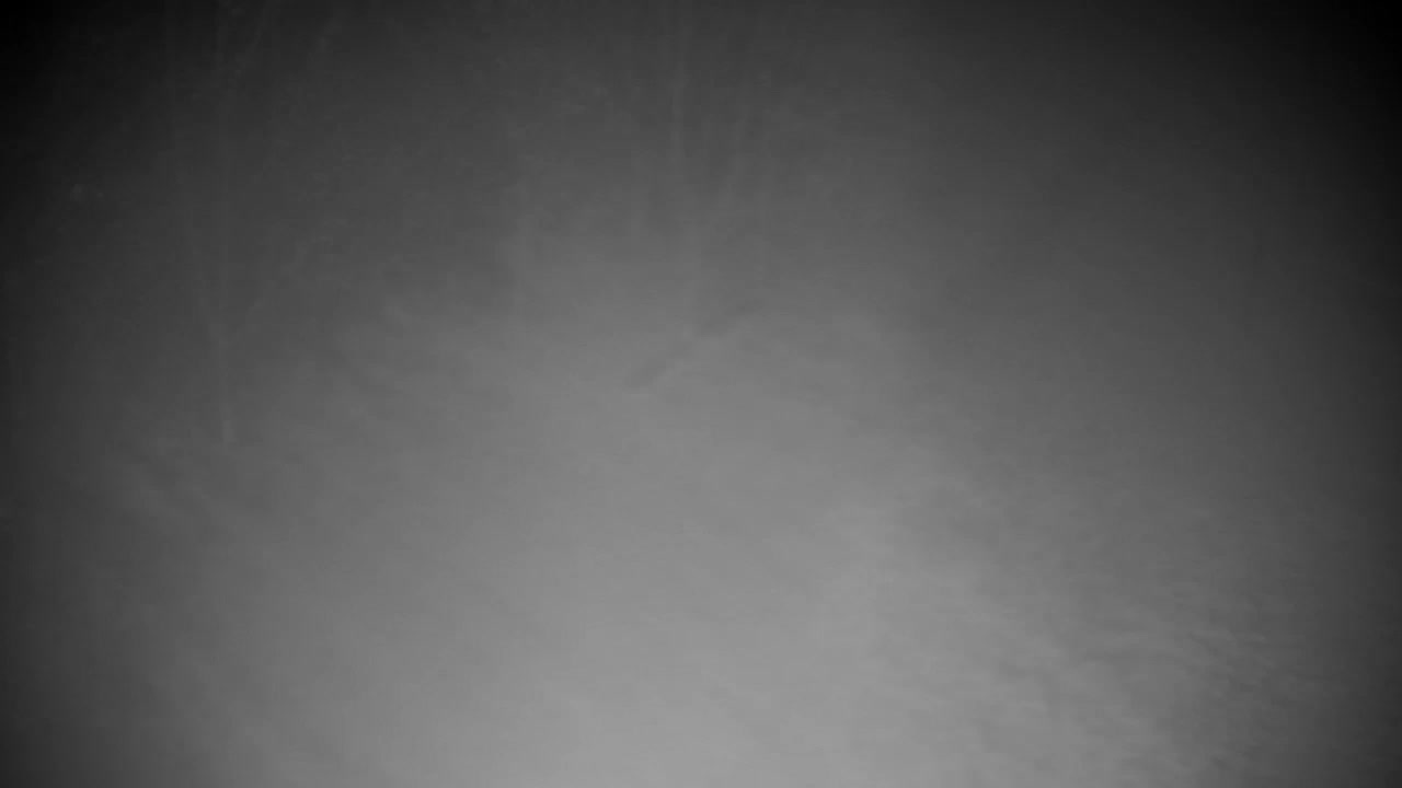 Spletna kamera Ribnik Vrbje – Žalec