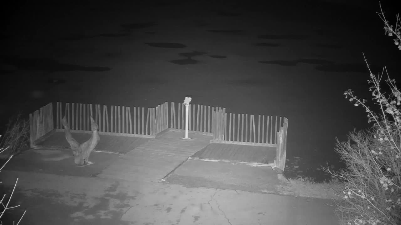 Spletna kamera Ribnik Vrbje – Žalec