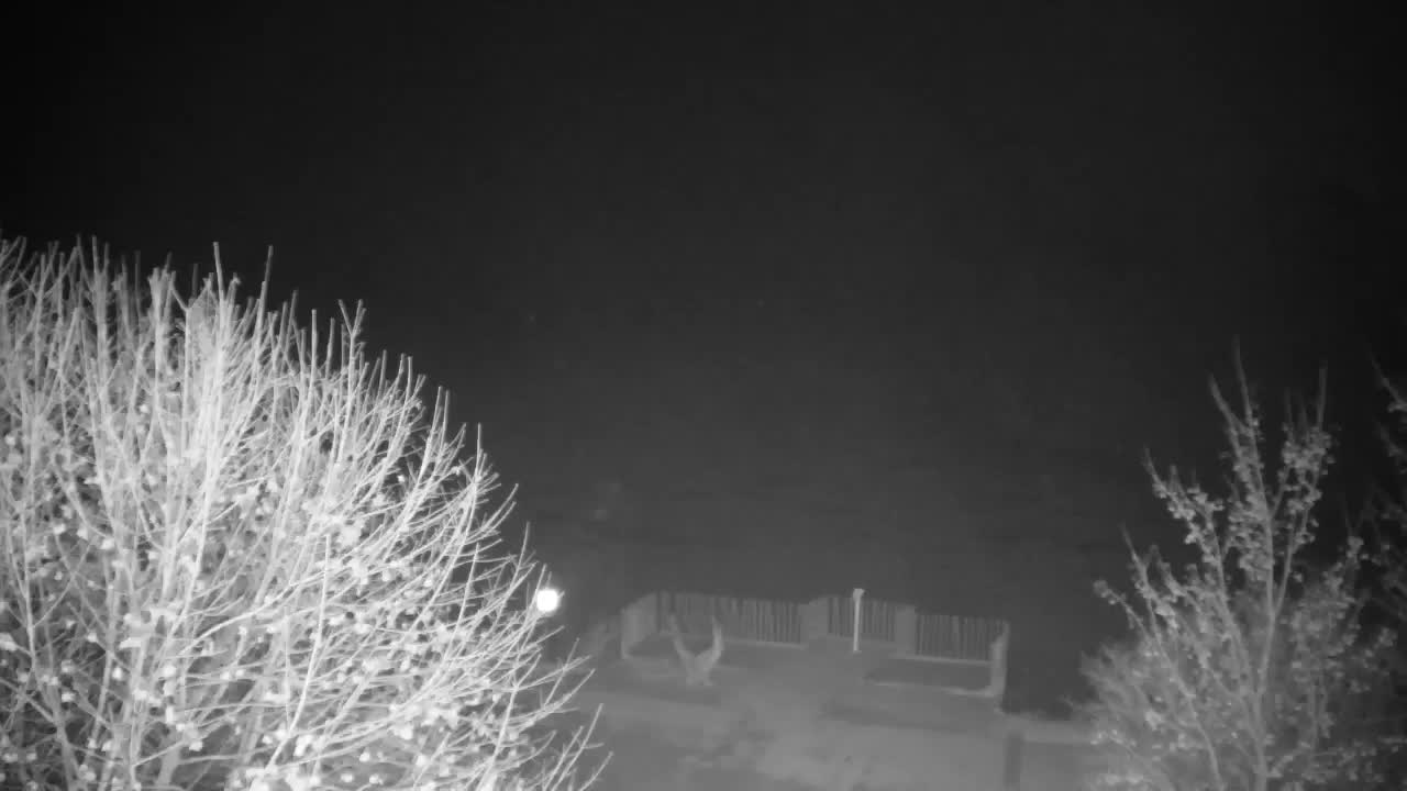 Spletna kamera Ribnik Vrbje – Žalec