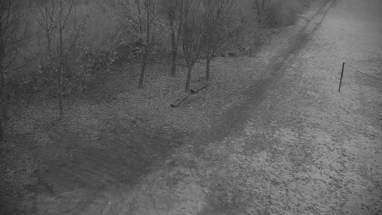 Webcam Ribnik Vrbje – Žalec