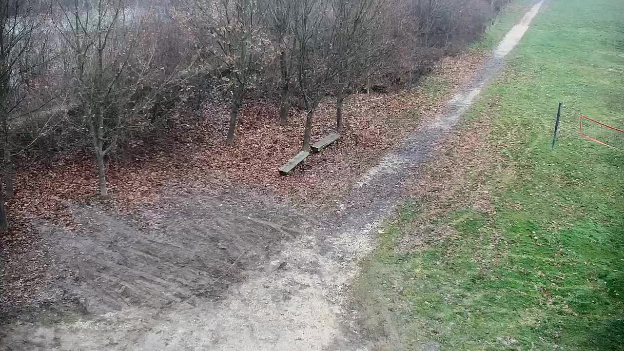 Webcam Ribnik Vrbje – Žalec