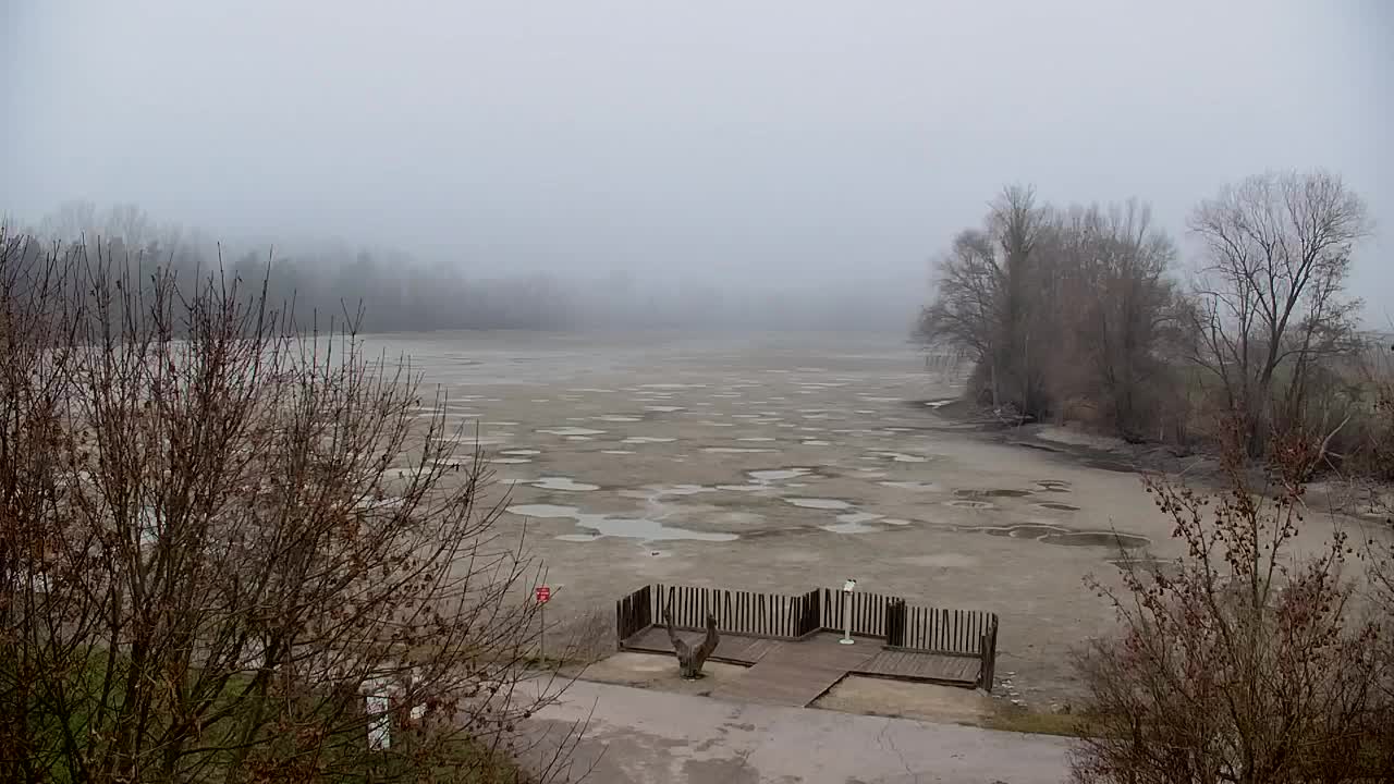 Spletna kamera Ribnik Vrbje – Žalec