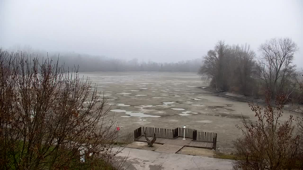 Webcam Ribnik Vrbje – Žalec