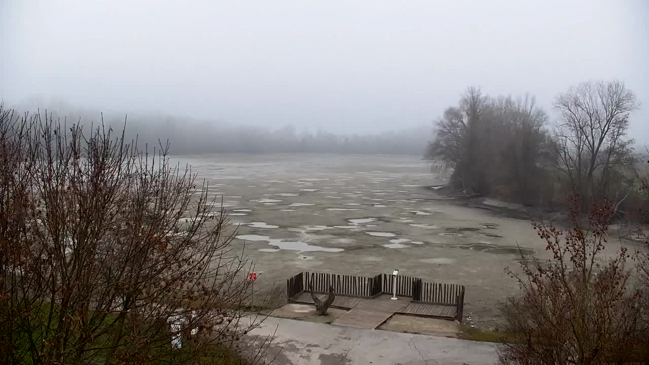 Spletna kamera Ribnik Vrbje – Žalec