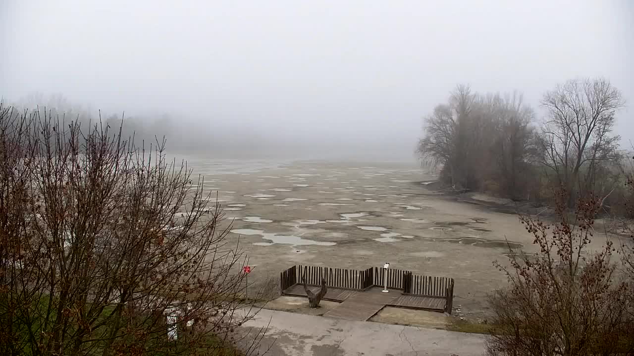 Webcam Ribnik Vrbje – Žalec