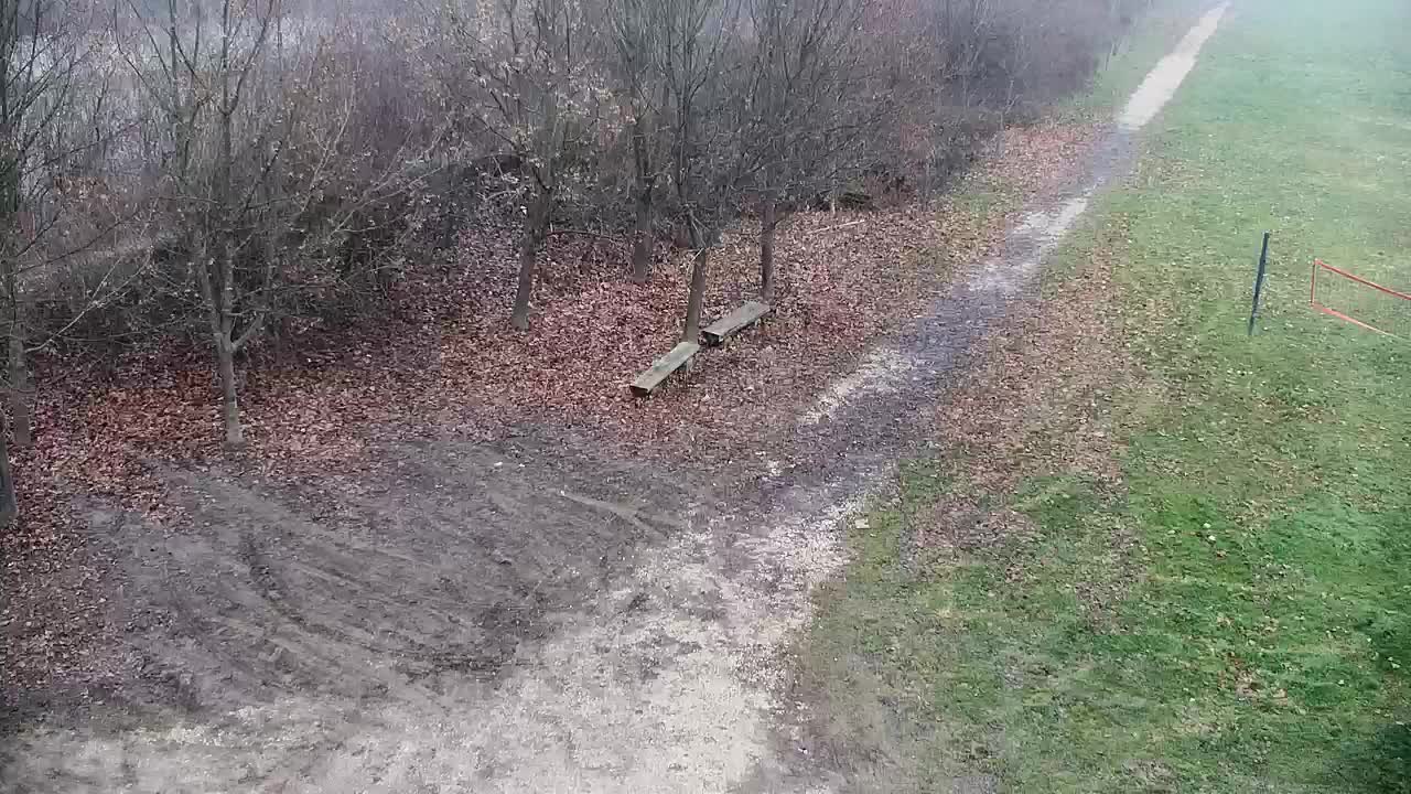 Webcam Ribnik Vrbje – Žalec