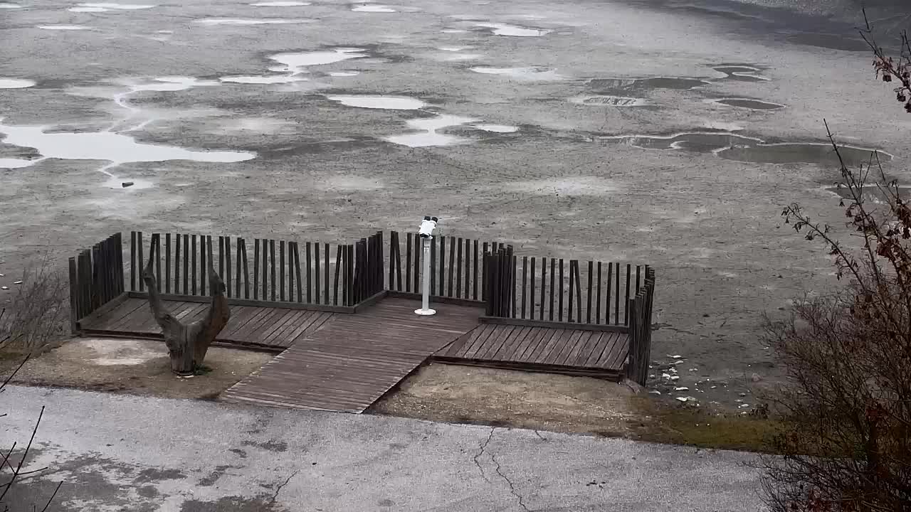 Web kamera Ribnik Vrbje – Žalec