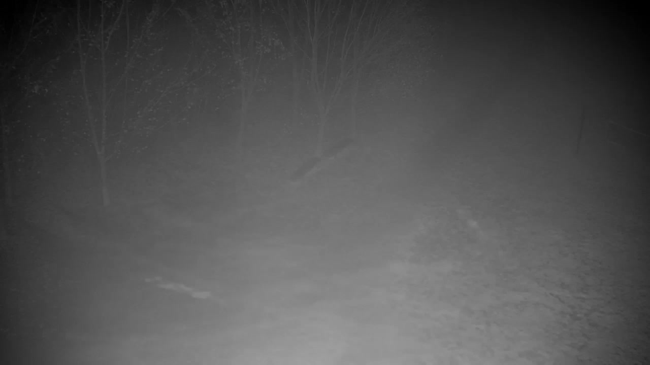 Webcam Ribnik Vrbje – Žalec