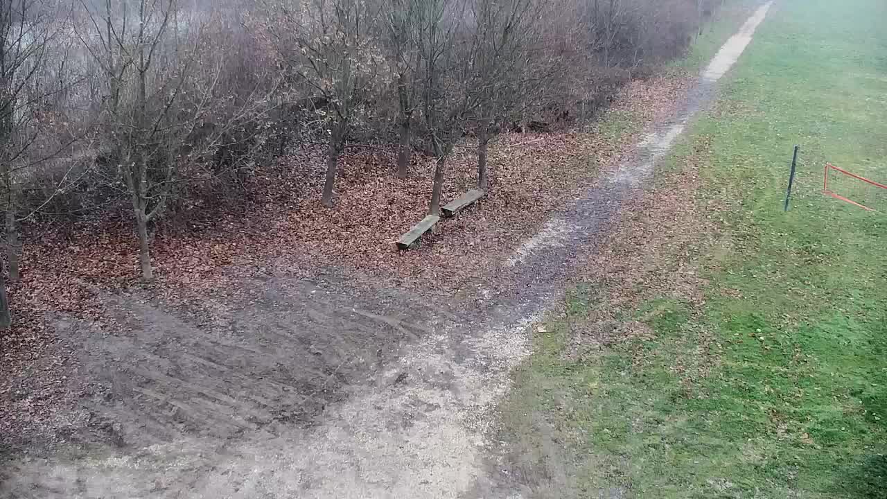 Webcam Ribnik Vrbje – Žalec