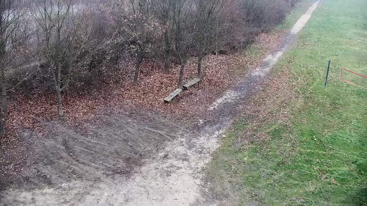 Spletna kamera Ribnik Vrbje – Žalec