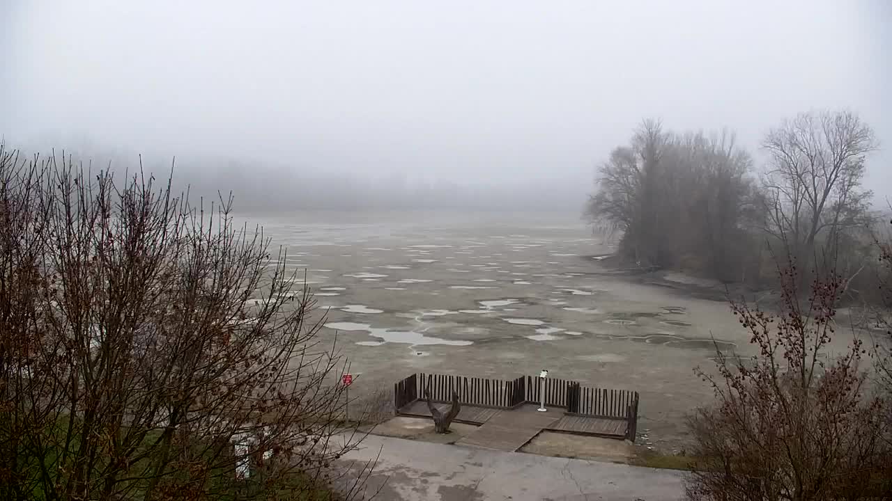 Webcam Ribnik Vrbje – Žalec