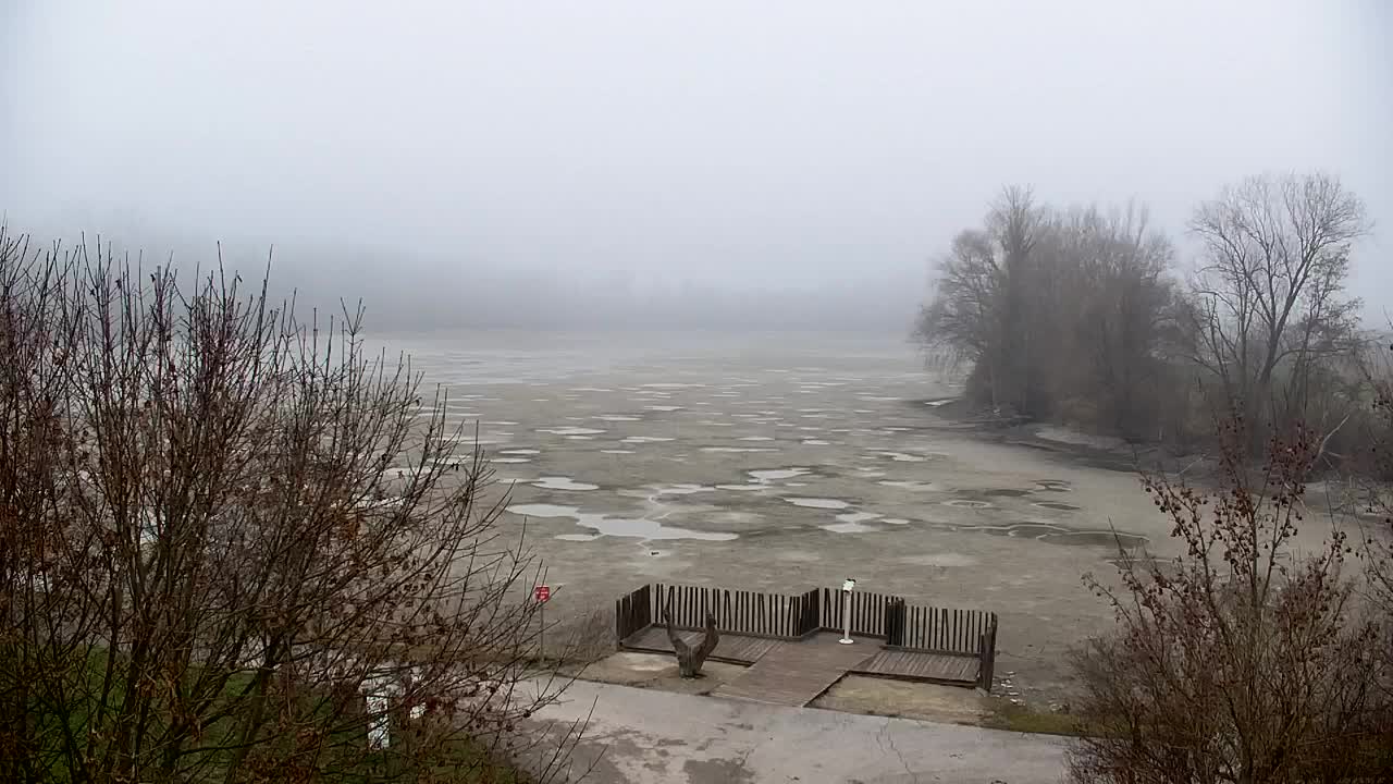 Webcam Ribnik Vrbje – Žalec