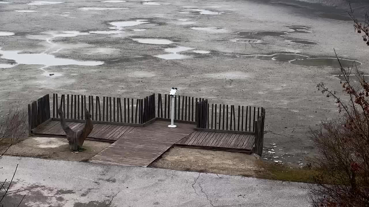 Webcam Ribnik Vrbje – Žalec