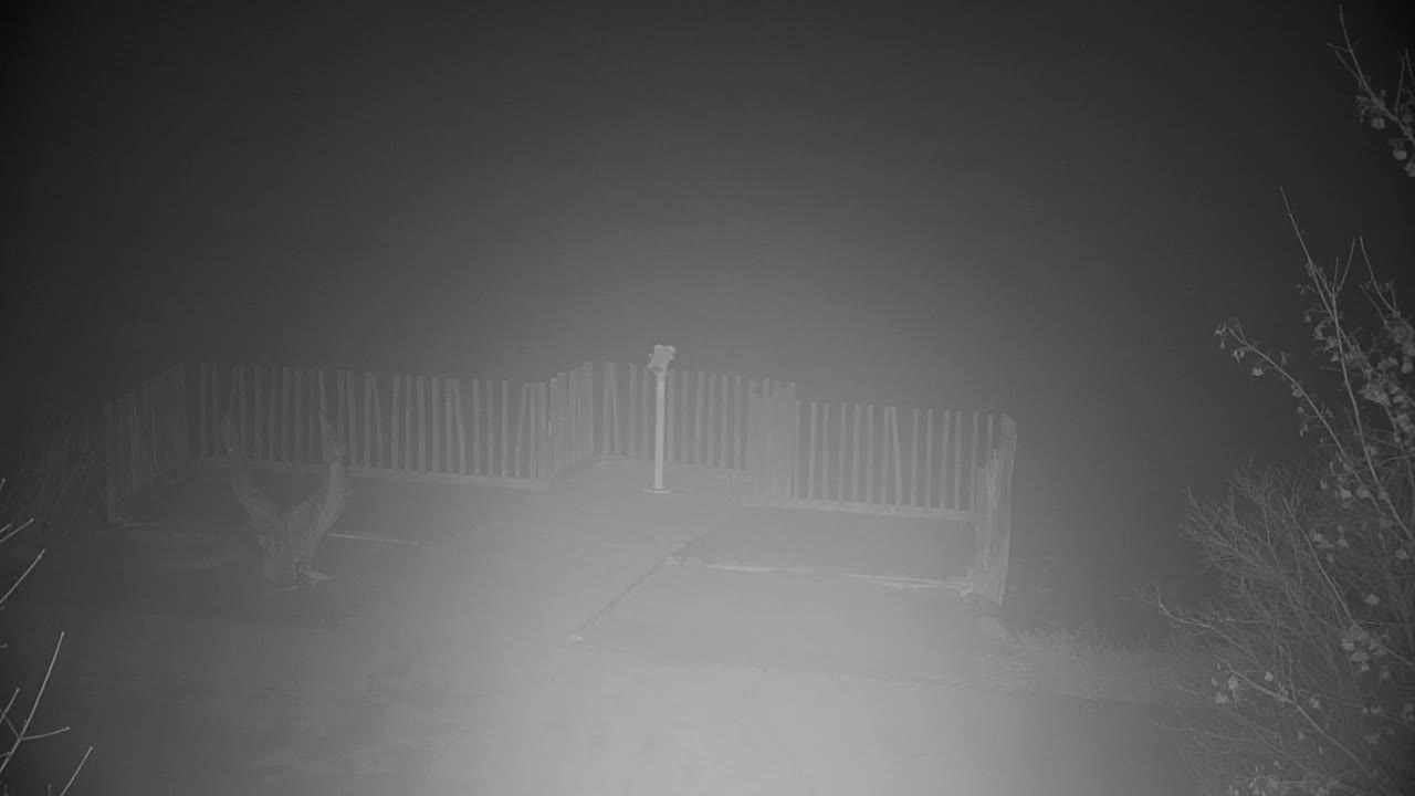 Web kamera Ribnik Vrbje – Žalec