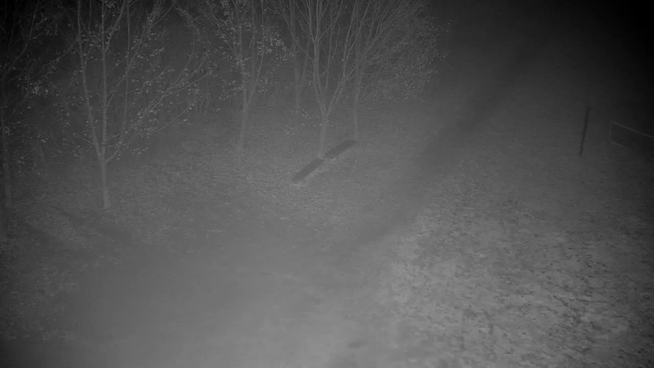 Webcam Ribnik Vrbje – Žalec