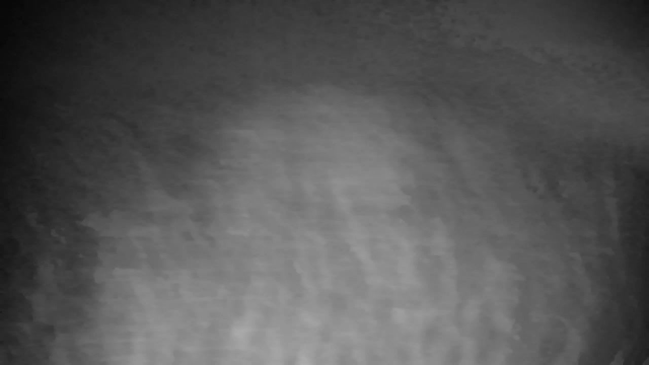 Webcam Ribnik Vrbje – Žalec