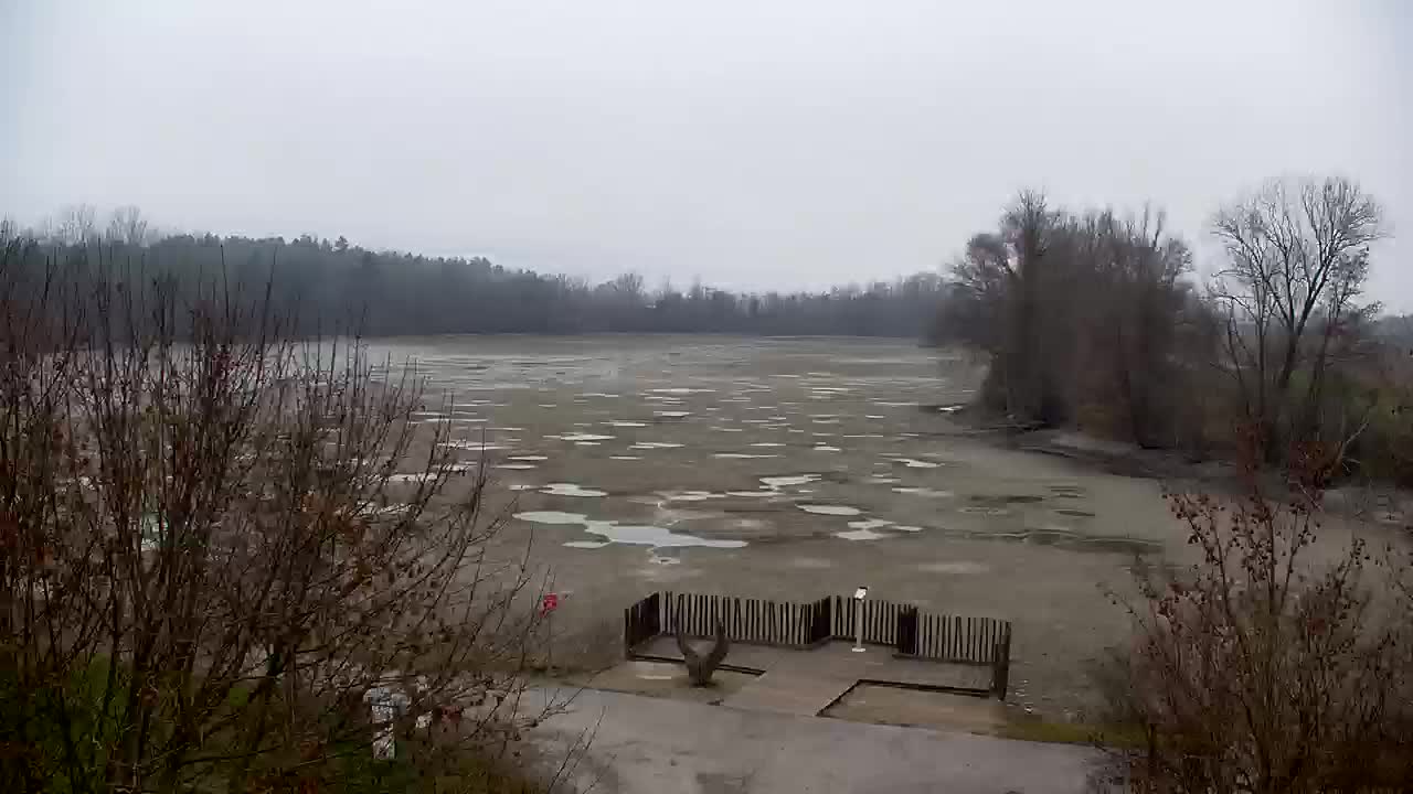 Webcam Ribnik Vrbje – Žalec