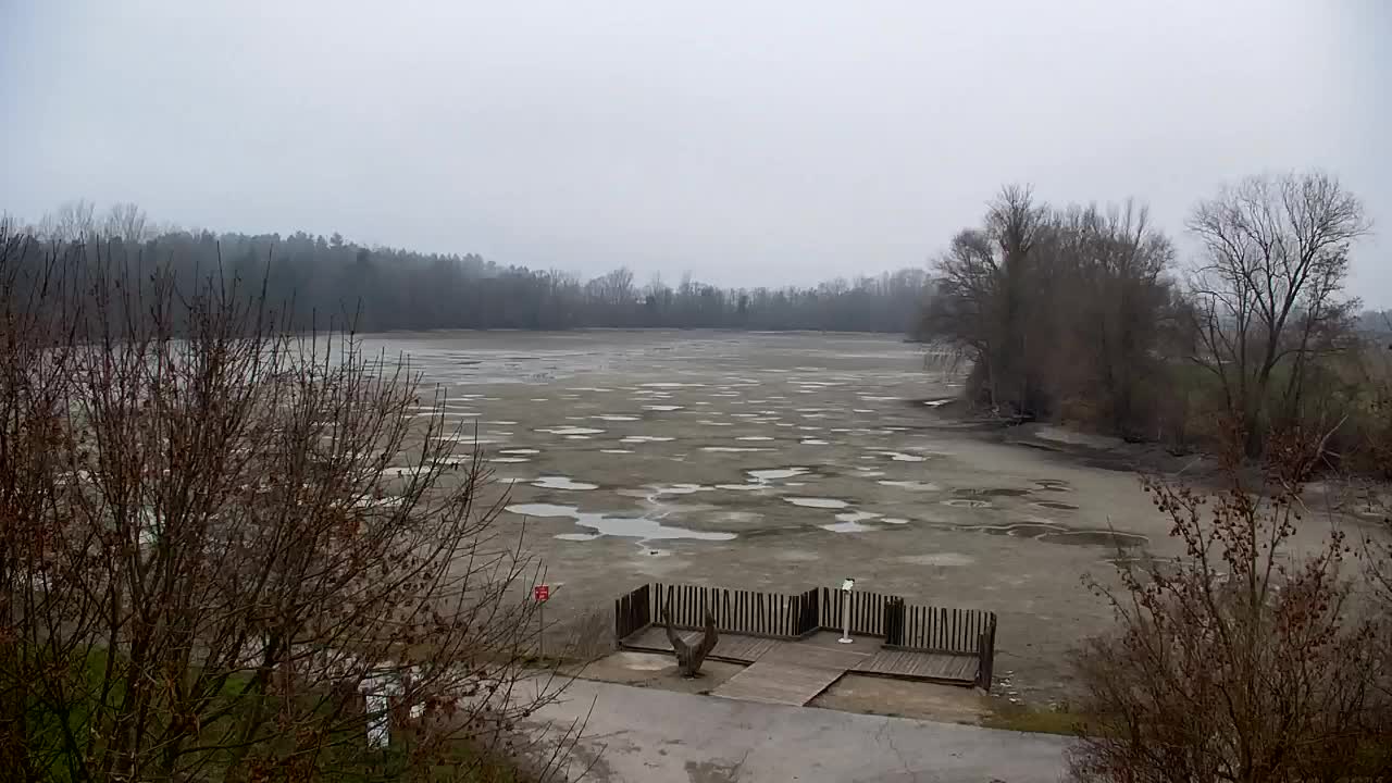 Webcam Ribnik Vrbje – Žalec