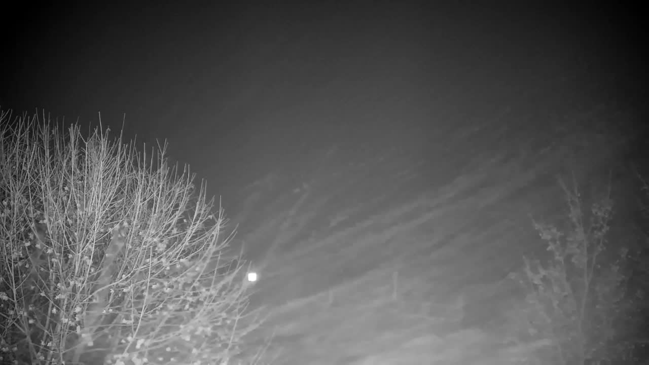 Webcam Ribnik Vrbje – Žalec