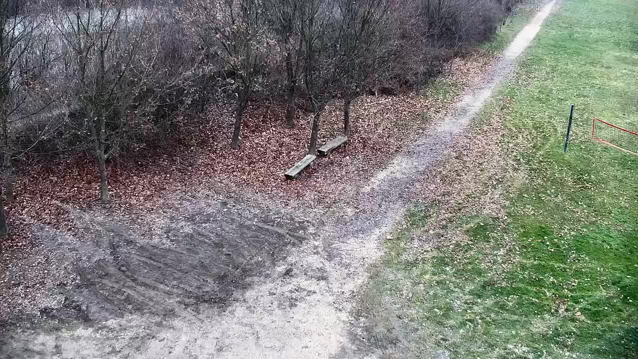 Spletna kamera Ribnik Vrbje – Žalec