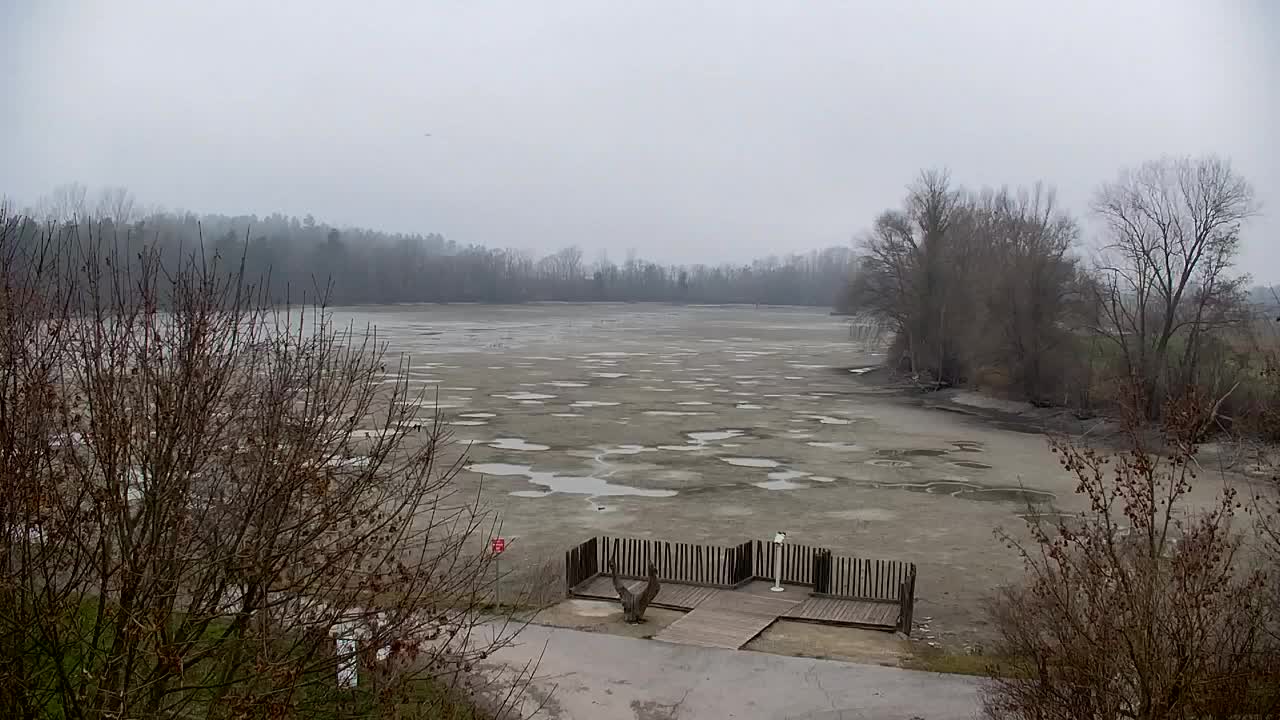 Webcam Ribnik Vrbje – Žalec