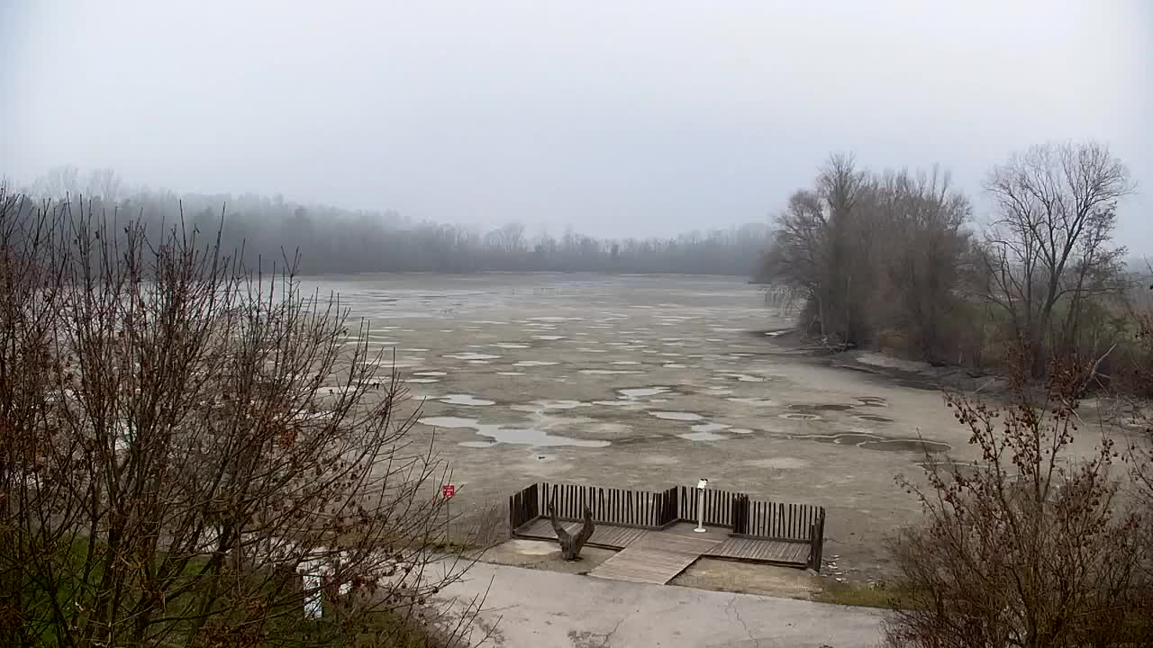 Webcam Ribnik Vrbje – Žalec