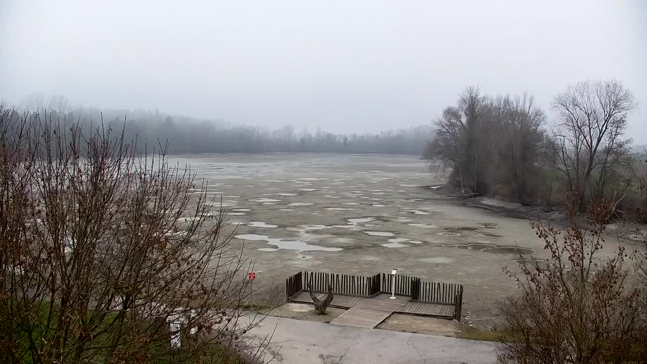 Webcam Ribnik Vrbje – Žalec