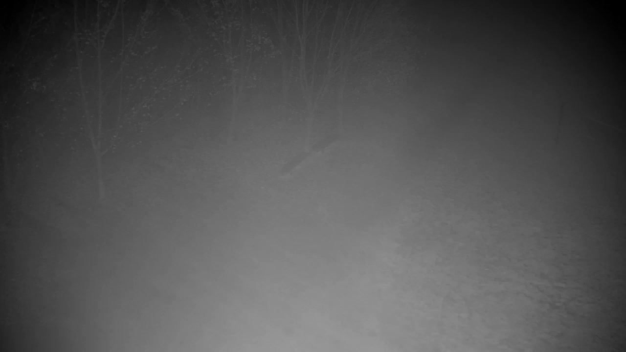 Webcam Ribnik Vrbje – Žalec