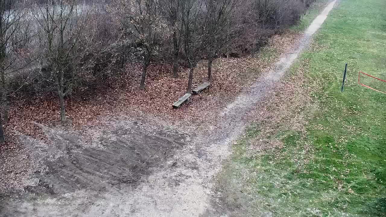 Web kamera Ribnik Vrbje – Žalec