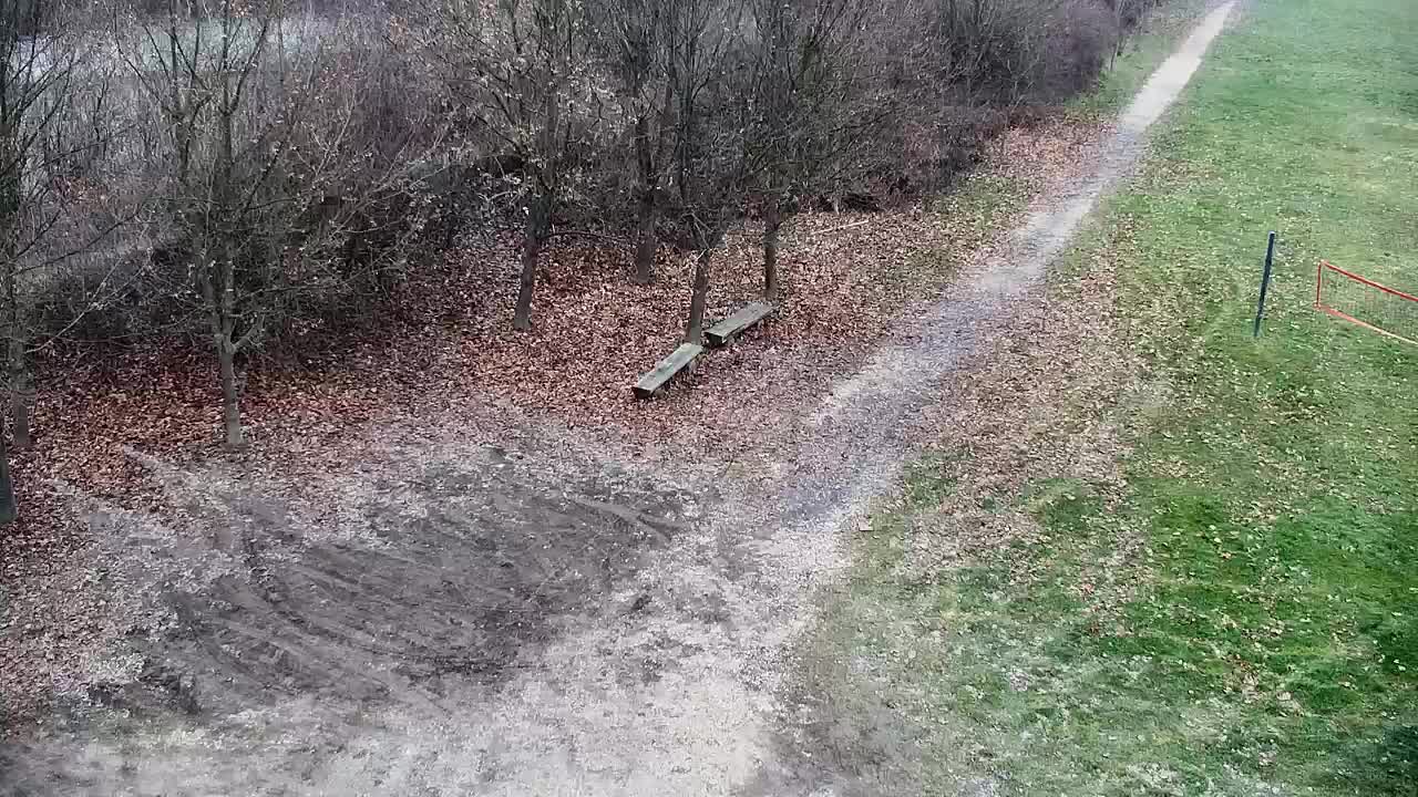 Webcam Ribnik Vrbje – Žalec