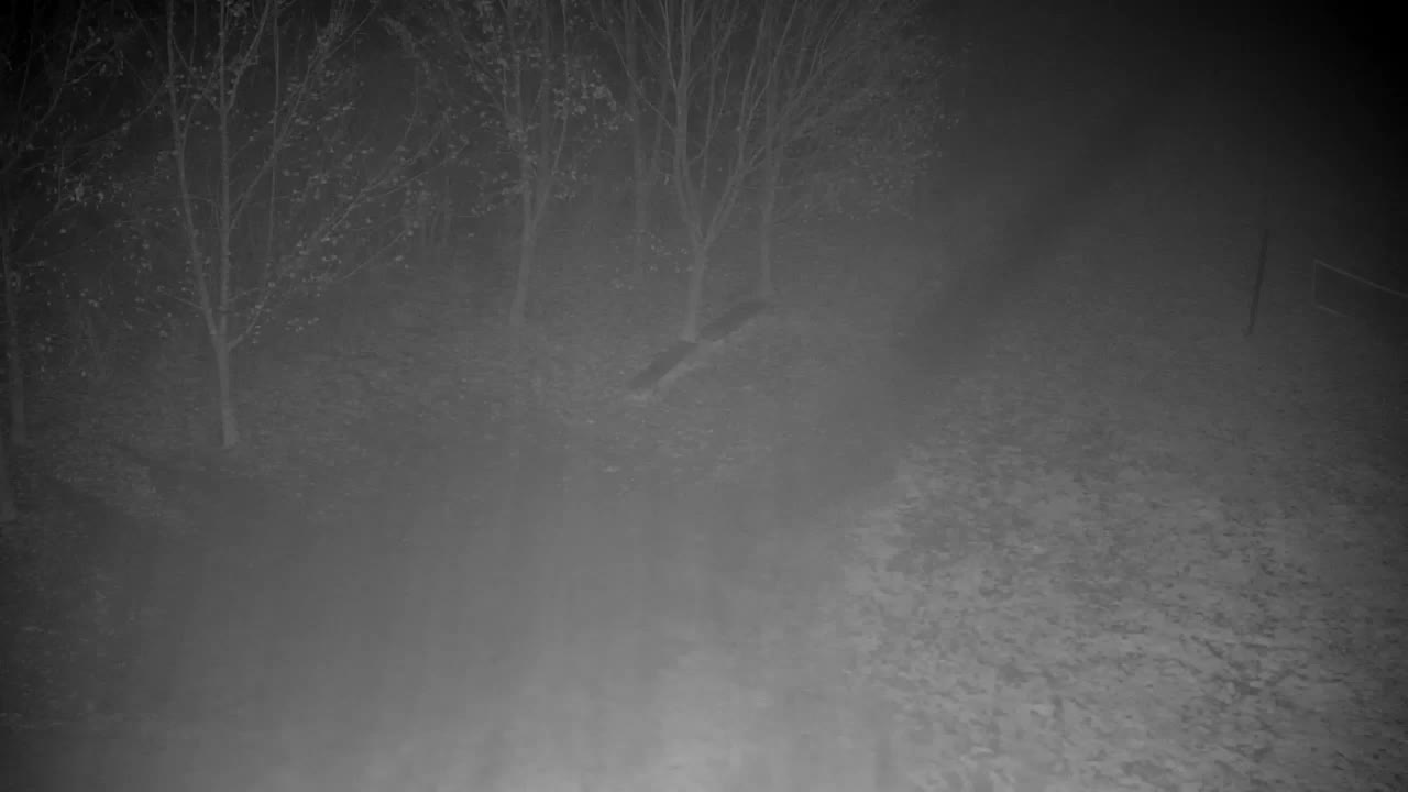 Webcam Ribnik Vrbje – Žalec